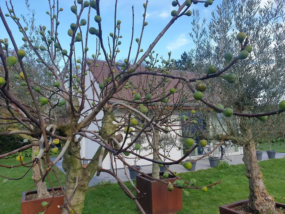 Holiday home Thibault Villa Gistel
